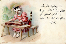 Katze Vermenschlicht Musizierend Mit Zither I-II Chat - Cats
