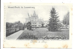 Chateau De Berg. - Colmar – Berg