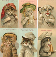 Katze Lot Mit 6 AK Chat - Cats