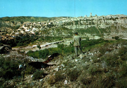 B 1433  SORBAS    Almeria - Vue Panoramique ( Quelques Chévres Et Leur Gardien )   ( Espagne)  ( 2 Scans) - Almería