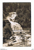 FAIDO:  CASCATA  DELLA  PIUMOGNA  -  FOTO  W. BORELLI  -  PER  L' ITALIA  -  FP - Faido