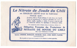 Buvard   Le Nitrate  De Soude Du Chili   60 Rue Taitbour 75 Paris - N