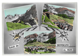 Delcampe - SALUTI DA BERSEZIO - BERSAS - ARGENTERA - EDELWEISS - Cuneo