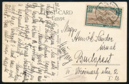 Egyiptom 1938 - Other & Unclassified