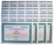 Budapest 1996. "Aquincum Kárpótlási Jegy Befektető Részvénytársaság" 1000Ft értékű Részvénye (14x), "B" Sorozat, Szelvén - Unclassified