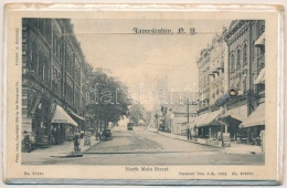 T2/T3 Jamestown (New York), North Main Street, Shops, Tram. Rotograph Co. 1905. Thick Wooden Leporellocard With 11 Pictu - Unclassified