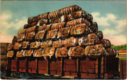 T2/T3 1939 Memphis (Tennessee), Cotton Ready For Shipment (EK) - Unclassified