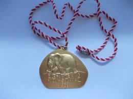 Oude Carnaval Orden Duitsland - Karnaval Orden - Elefanten AG Konstanz 1988 - Carnaval