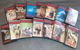 Lot De 35 Cassettes Vidéo VHS Sur La Faune Sauvage. Édition TIME LIFE VIDEO De La BBC De 1997, Série « SAUVAGES - Documentaire