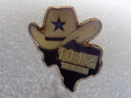 Delcampe - PINS LOT12                                 24 - Non Classés