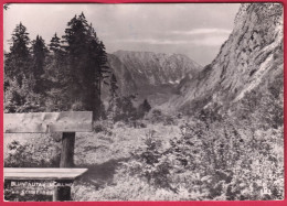 AK: Echtfoto - Golling Bluntautau Mit Schneiber, Gelaufen 4. 6. 1963 (Nr.1552) - Golling