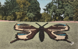 Delcampe - CAMBRA  .LE PAPILLON     Edit  CAP .NO.108 - Cambrai