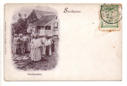 SURINAM / SURINAME - VISCHMEIDEN - Suriname