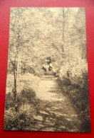 Delcampe - BINCHE  - Maison-Mère Des Soeurs De Charité  De N.-D. De Bonne Espérance - Une Allée Du Jardin - Binche