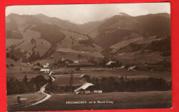 FPE-13  Rossinière Et Le Mont Cray. Vue Générale Sépia. NC Perrochet-Matile 6094 - Rossinière