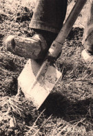 Delcampe - B 1666 Albert MONIER Photographe "  Une Pensée Pour Candide   ( 2 Scans) Sabot Pèle Bèche - Monier