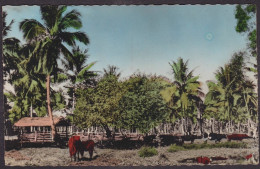 CPSM Nouvelle Calédonie écrite Voir Scan Du Dos - New Caledonia