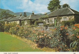 Postcard Luss Loch Lomond [ Whiteholme ] My Ref B26847 - Dunbartonshire