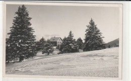 KUHHAUS MALBUN BUCHS - Buchs