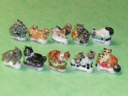TC3 / Fève / Série De Fèves Complète : Au Bon Chat , Bon Roi , Chats 2004 - Animals