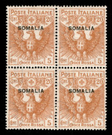 1916 - 20 Cent Croce Rossa (22) In Quartina - Gomma Integra (400) - Other & Unclassified