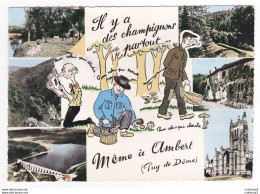 Delcampe - 63 Il Y A Des Champignons Partout Même à AMBERT 6 Vues De 1965 Camping Vieux Moulin Le Pradeaux Barrage Eglise St Jean - Ambert
