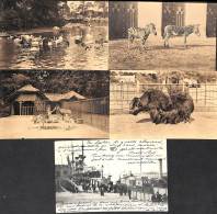 Delcampe - Antwerpen Anvers - Lot 5 Cartes (1 Top + 4 Belles) A10 - Antwerpen