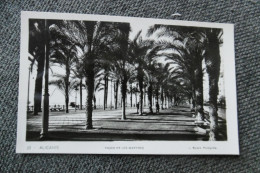 Delcampe - Alicante - Paseo De Los Martires - Alicante