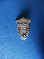 SAPEUR POMPIER / INSIGNE BOUTONNIERE / INSIGNE EN REDUCTION / ORIGINAL - Firemen