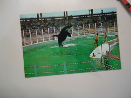 UNITED STATES USA      POSTCARD 1981  DOLPHINS  HUGO  STAMPS   2 SCAN - Delphine