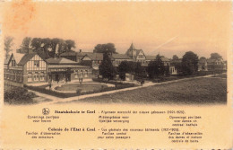 BELGIQUE - Colonie De L'Etat à Geel - Vue Générale Des Nouveaux Bâtiments (1921-1925) - Carte Postale Ancienne - Geel