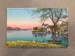 Kurhaus Walchwil Zugersee Carte Postale Postcard - Walchwil