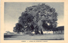 Zambia - SESHEKE - Livingstone's Tree - Publ. Société Des Missions Evangéliques  - Sambia