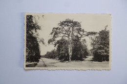 Delcampe - KEERBERGEN  -  La Croisée Des Chemins  -  Kruispunt  -  Belgique - Keerbergen