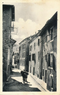 Belvédère (06 Alpes Maritime) Entrée Du Village Et Les Hôtel Gasglia Et Continental - édit. Daniel (pli D'angle) - Belvédère