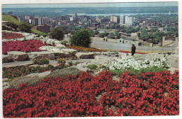 AK 233780 CANADA - Ontario - Hamilton - Hamilton