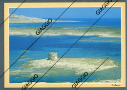 Delcampe - °°° Cartolina N. 773 - Conoscere La Sardegna Stintino La Pelosa Nuova °°° - Sassari