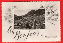 FPI-13  Un Bonjour De Salvan.  Fantaisie. Perrochet S 516  Circ. 1965 - Salvan