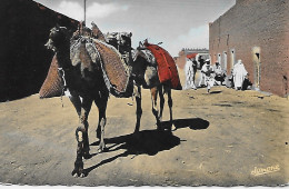 Delcampe - CPSM - ALGÉRIE- Scènes & Types - ADRAR - Une Rue à L'arrivée D'une Caravane - Szenen