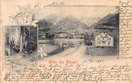 BÖNIGEN (BE) Gesamtansicht - Karte Beschädigt, Siehe Scan - Verlag Gabler 6436 - Bönigen