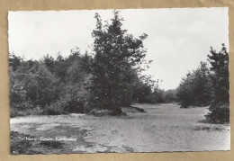 NL.- NORG. GROTE KAMPWEG. - Norg