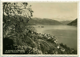 BRISSAGO TI Ausblick V. Bellavista Incella (pz1224) - Brissago