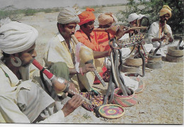 Post Card  - PAKISTAN - A TYPICAL SNAKE CHARMER - Pakistan