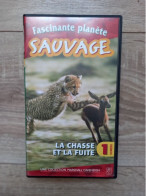 VHS Fascinante Planète Sauvage "la Chasse Et La Fuite" - Documentaire