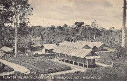Equatorial Guinea - Plant Of The Frank James Industrial School - Publ. Unknown  - Equatorial Guinea