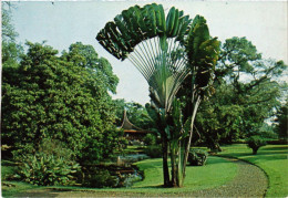 Delcampe - CPM AK Bogor Kebun Raya INDONESIA (1281415) - Indonesien