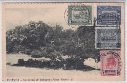 MiNr. 39, 42, 48, 59 Italienisch-Eritrea Bildseitig Auf Ansichtskarte Sicomoro Di Debora (Ficus Vasta) Nach Tschechien - Eritrea