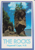 The Rocks Hopewell Cape N.B. Canada Flower Pot Tidal Effect  Pots De Fleurs Effet Des Marées CM  2 Sc - Sonstige & Ohne Zuordnung