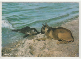 Robbe & Hund - Altri & Non Classificati