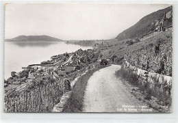 Suisse - GLÉRESSE Ligerz (BE) Vue Générale - Ed. Wehrli - Gléresse